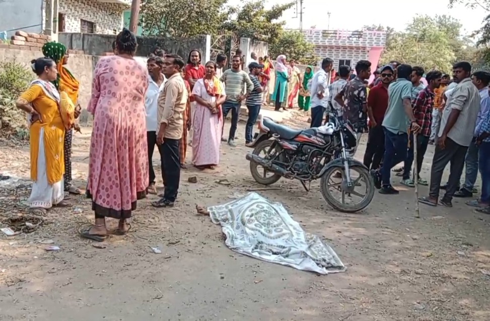 Vadodara police nabs cow owner after death of elderly woman