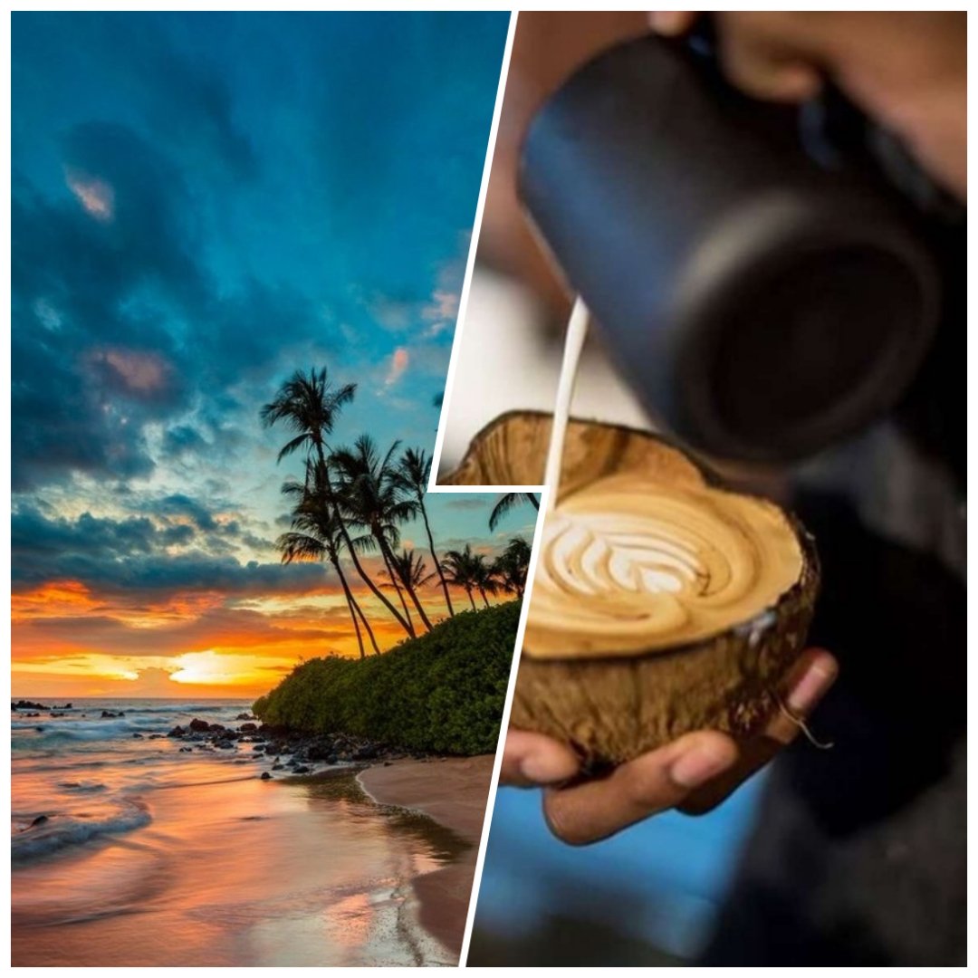 fairgreenvalue's tweet image. Sanfter Tourismus • Palawan
@UniqueRefugium

Aktiv Unterstützen • Statt Dritte Welt Spende
     Sanfter Nachhaltiger Tourismus
Bitte empfehlen • folgen • teilen
           und natürlich URLAUB machen