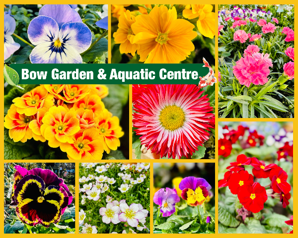 Spring Excitement 😆 We have lots of great offers &amp; fabulous new ranges this Spring, check out our latest newsletter, plus find a fantastic voucher offer for our Twitter followers inside... - mailchi.mp/22d218771ed7/g…