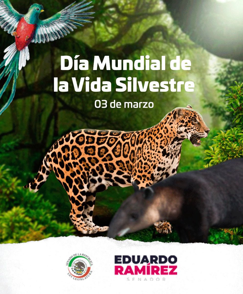 Eduardo Ramírez tweet media