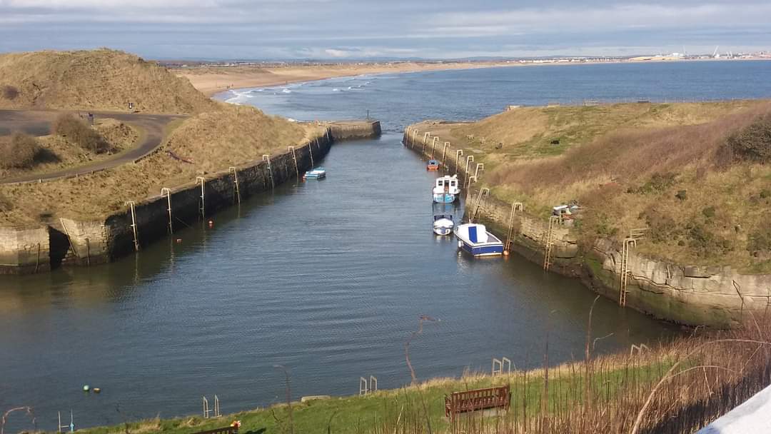 riabythesea's tweet photo. Seaton Sluice and Northumberlandia (giving the finger π±πππ). More fabulous places in the north wastππ
#treechiefs
#riabythesea
#riasseas
#mickandria
#riaandthesea
#seatonsluice
#northumberlandia https://t.co/LYPr5z10Fi