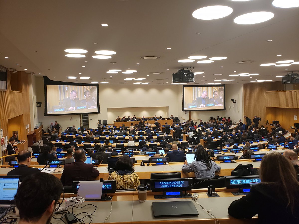 Standing room only for the plenary on the last day of #BBNJ negotiations - I have faith we will have a #HighSeasTreaty tonight!