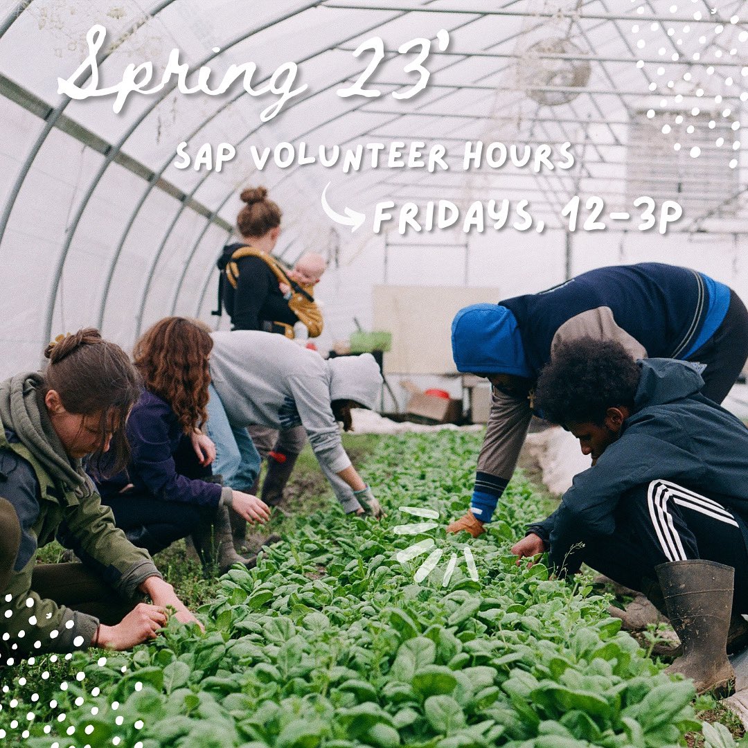 gvsusap's tweet photo. Howdy folks! Next Friday, March 10, will be our first official day of open volunteer hours at the SAP 🧑‍🌾 Weather permitting, we’ll be prepping the hoop houses and planting some greens 🌱 Hope to see you there! https://t.co/OxnOIpzhSj