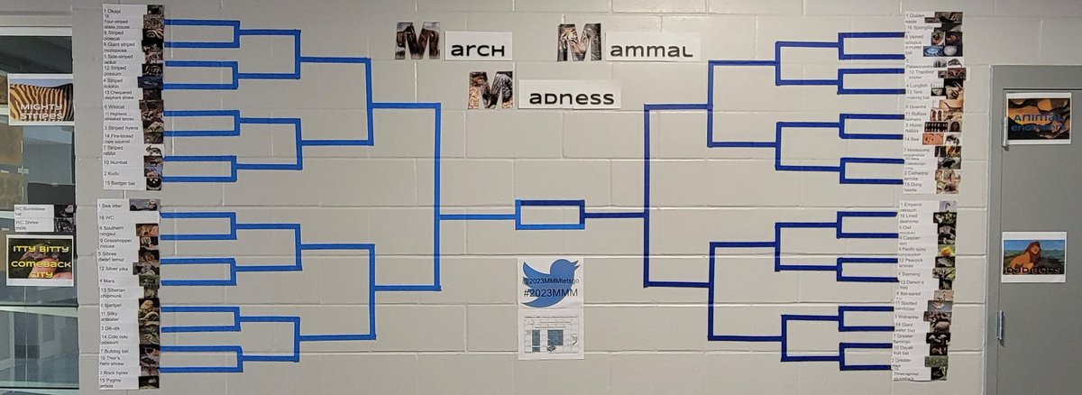 #lakeviewvikes are ready for some fun and learning! So excited for #2023MMM! Remember, if you're learning, you're winning! First battle, March 13th. Get your brackets from Mrs. Miller.
