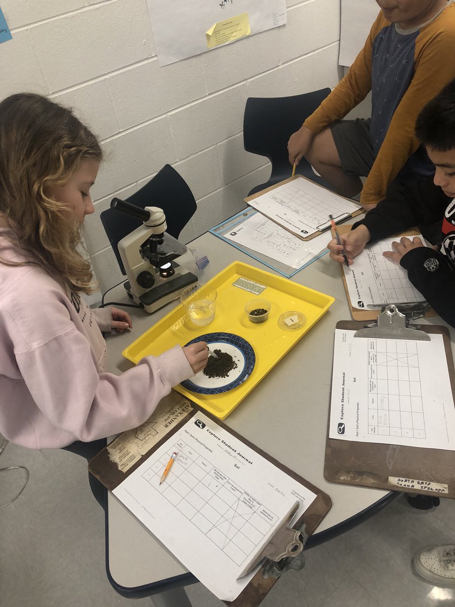 MsKAlexander_'s tweet image. This week 4th grade is working hard to identify soil types and their water retention rate! #ilovevickery #LISDScience @VickeryES @LISDScience