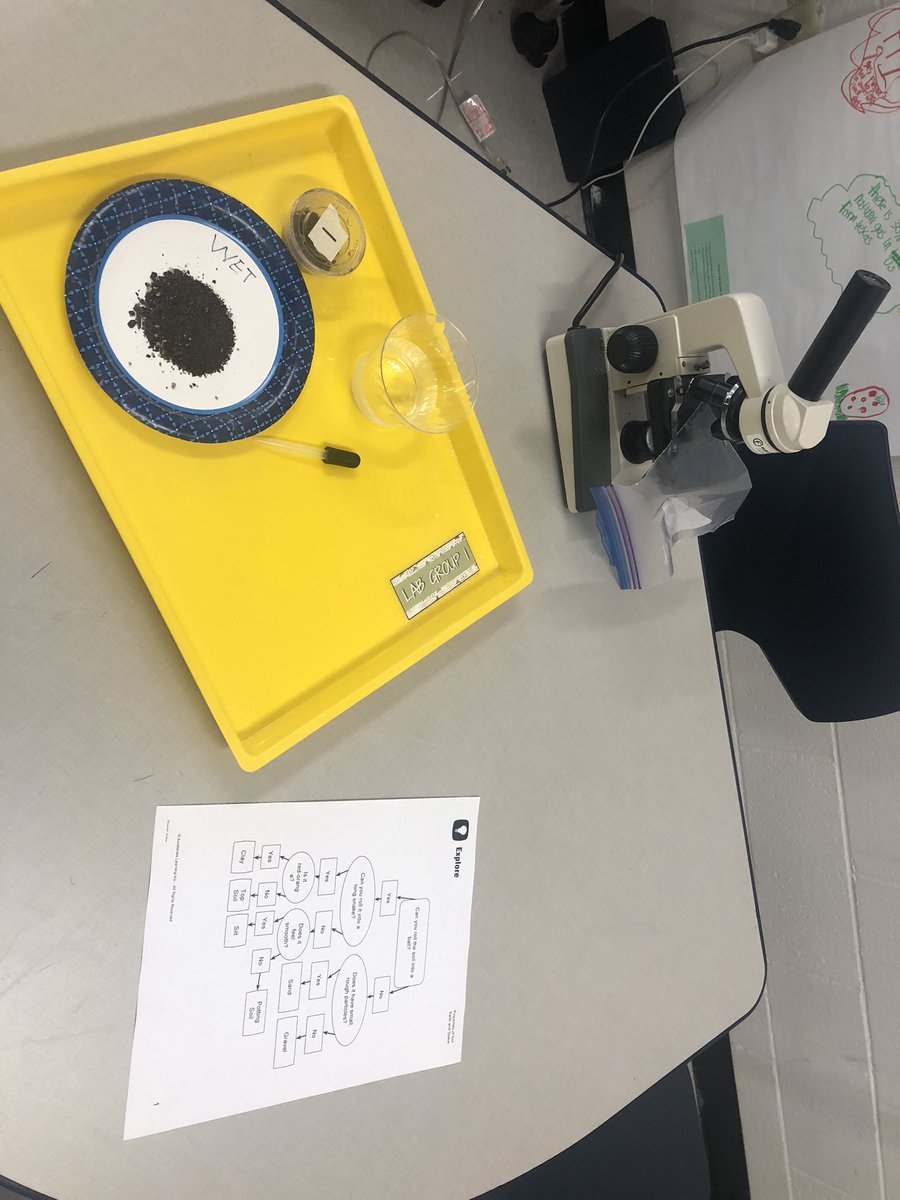 MsKAlexander_'s tweet image. This week 4th grade is working hard to identify soil types and their water retention rate! #ilovevickery #LISDScience @VickeryES @LISDScience