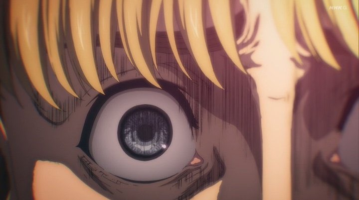 ARMIN 15TH COMMANDER OF THE SURVEY CORPS !