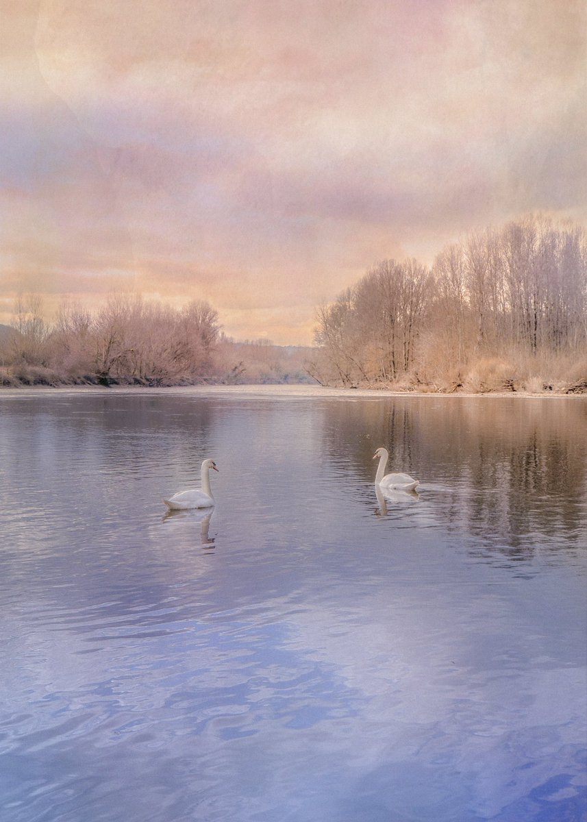 samanthacavet's tweet image. the location              vs.               the shot