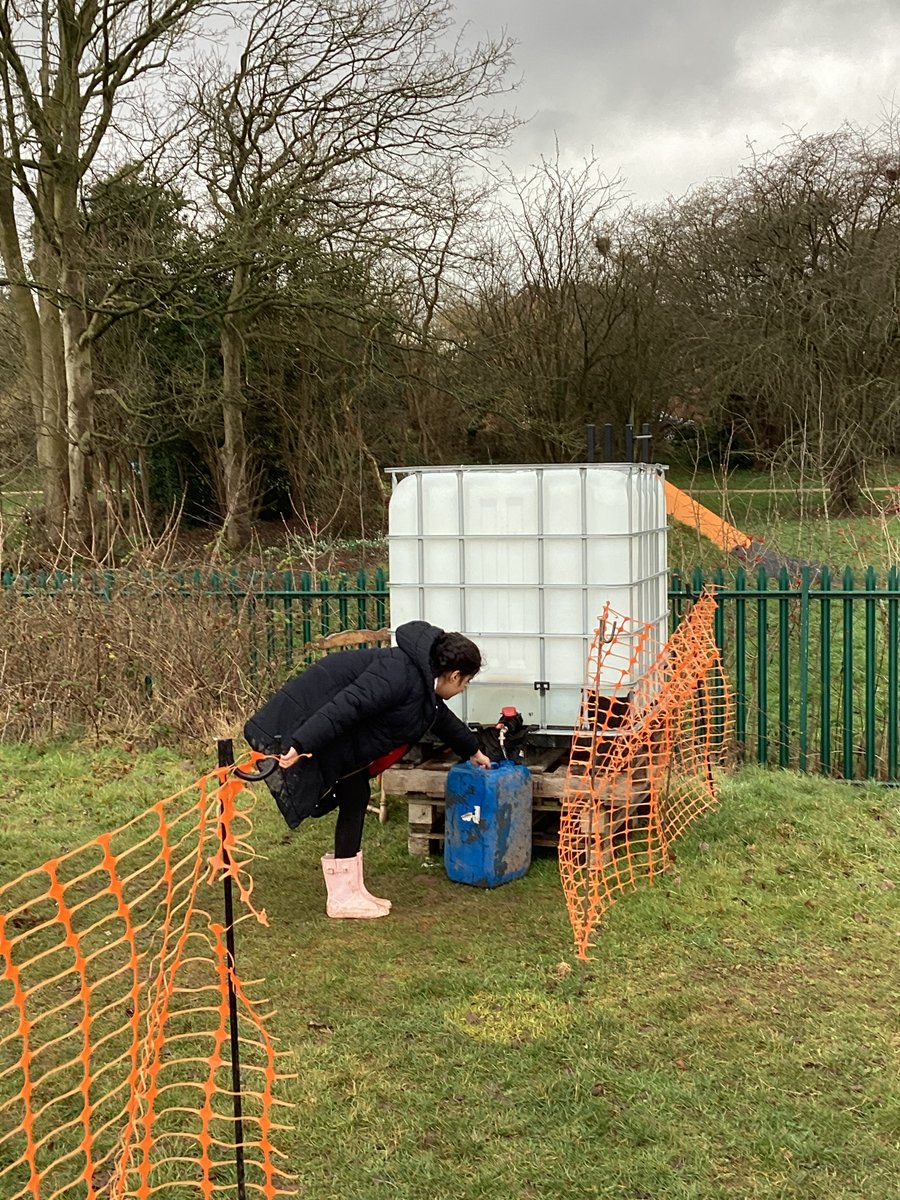 MillLodgeSchool's tweet photo. A few new additions to playtime at Mill Lodge this week.
Two 1000 litre water tanks
A 6m tunnel
More pallets
and a cable reel
#OPAL_CIC #OPALSchools https://t.co/ydoYZSyXTu