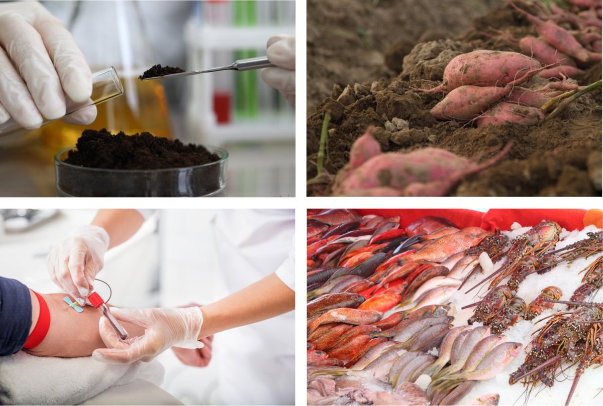 Contamination des Antilles françaises par la #chlordécone : 
➡️quels impacts sur l'environnement et les populations ?
➡️progrès de la recherche et action de l'Etat

📗Rapport de <a href="/CProcaccia/">Catherine PROCACCIA</a> et synthèse
👉bit.ly/3ZkCuQD
🗒️ Conférence de presse 👉bit.ly/3SNU9xC