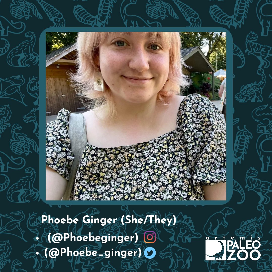 Artemis Paleozoo on Twitter: "Both an artist and author, @phoebe_ginger is one of the #
