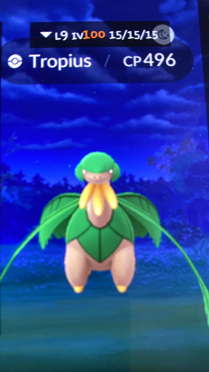GOGOGOGOGOGO

💯 TROPIUS 

31.194424,29.902717