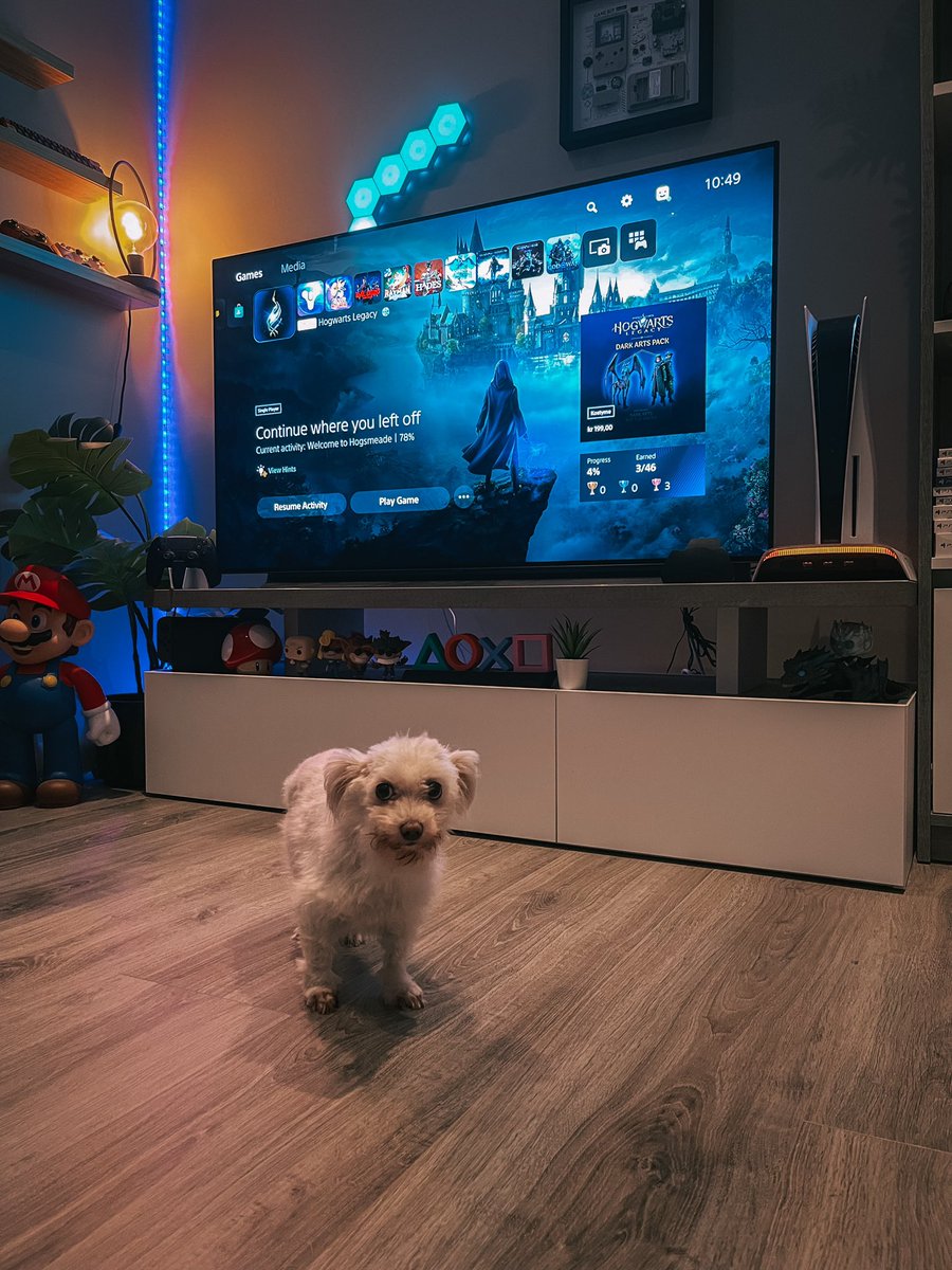 DrMancave's tweet photo. This dog is cray cray ❤️🫡
#hogwarts #HogwartLegacy https://t.co/dnbds9lLZi