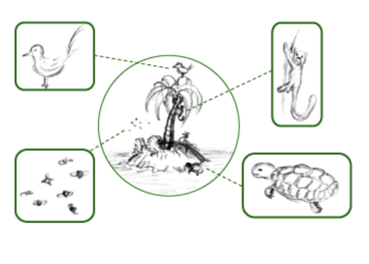 OSU Cascades MFA tweet media