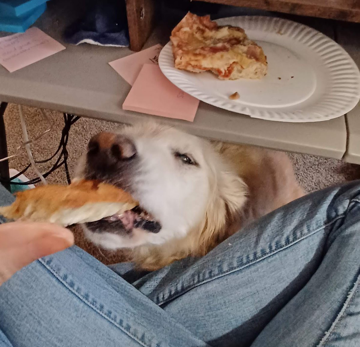 YASSSSS! PIZZA!!!

#BonusDay715