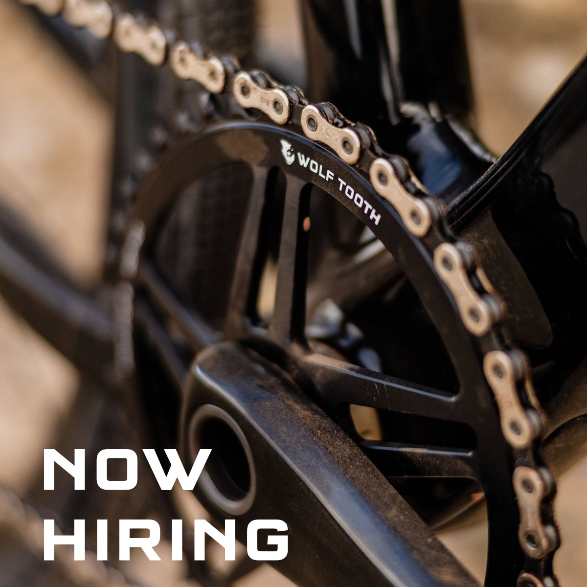 Wolf Tooth tweet media