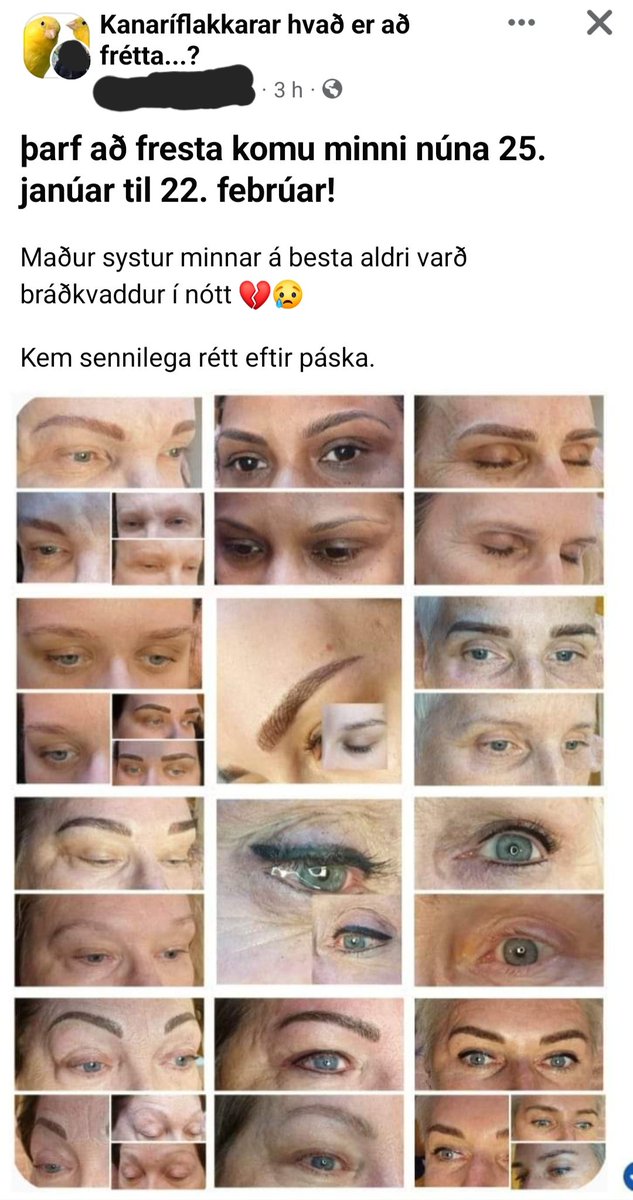 Þorvaldur Sigurbjörn Helgason tweet media