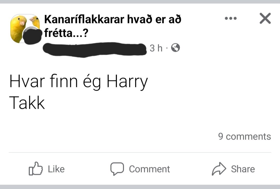 Þorvaldur Sigurbjörn Helgason tweet media