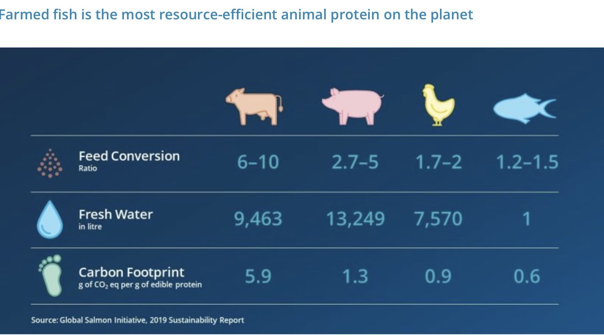TalkSalmon (@talksalmon) on Twitter photo Farmed fish is the most resource-efficient animal protein on the planet.
iffo.com/nutrition-opti… Farmed fish is the most resource-efficient animal protein on the planet.
iffo.com/nutrition-opti…