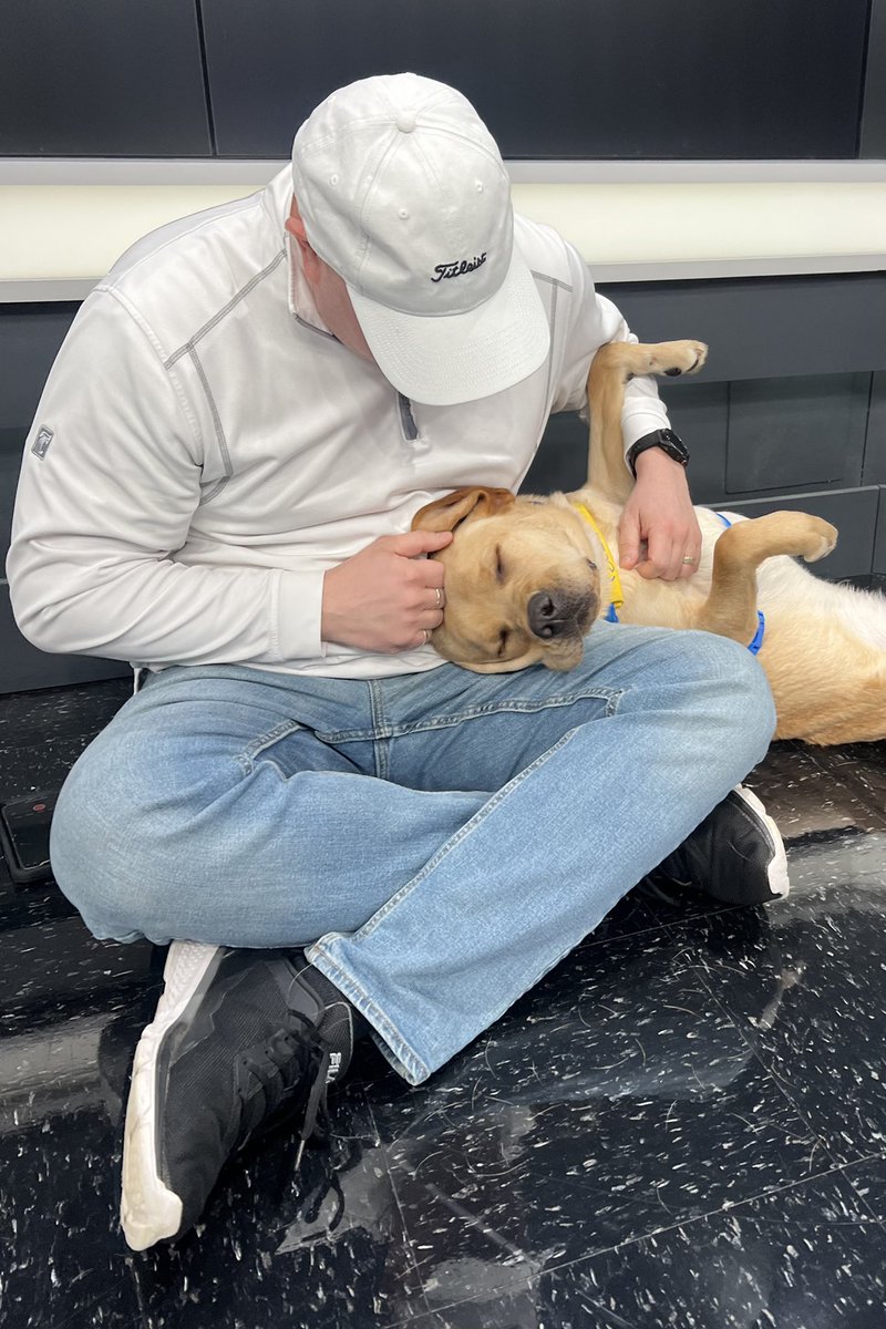 ajconn95's tweet photo. My regularly scheduled lap takeover with our Puppy with a Purpose, Brutus! @nbc4i  @canineorg https://t.co/xHHeH2MSSM
