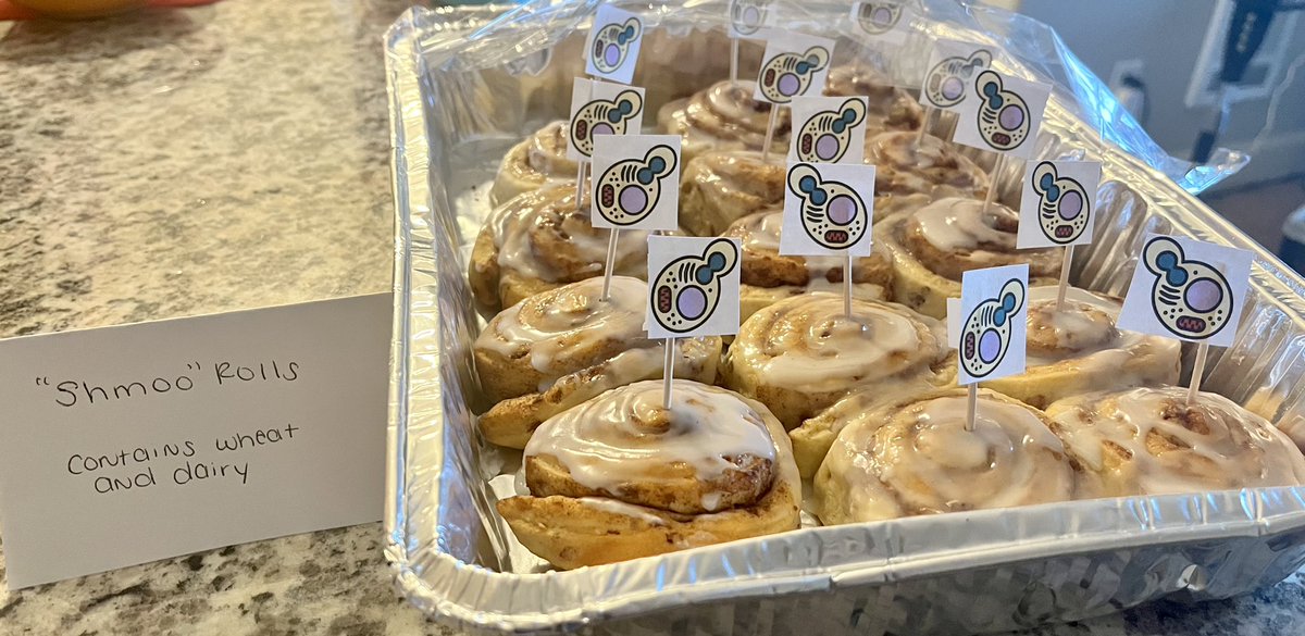 Megan Sandoval-Powers tweet media