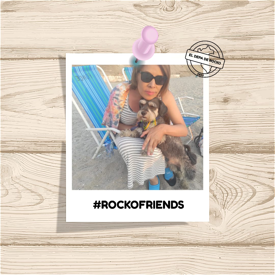 Eldepaderocko's tweet photo. Gracias por la visita RockoFriends! 💕🐶🏠🐶
#RockoFriends #ElDepadeRocko
#Startup #Alquiler #PetFriendy #Vacaciones #PuntaHermosa #Barranco #Lima #Proptech #Mascotas #PetFriendly #Viaje #catlover #doglover #Playas #Perú #DepartamentoPetFriendly
#Dondetumejoramigoesbienvenido https://t.co/GrxRJe4vlD