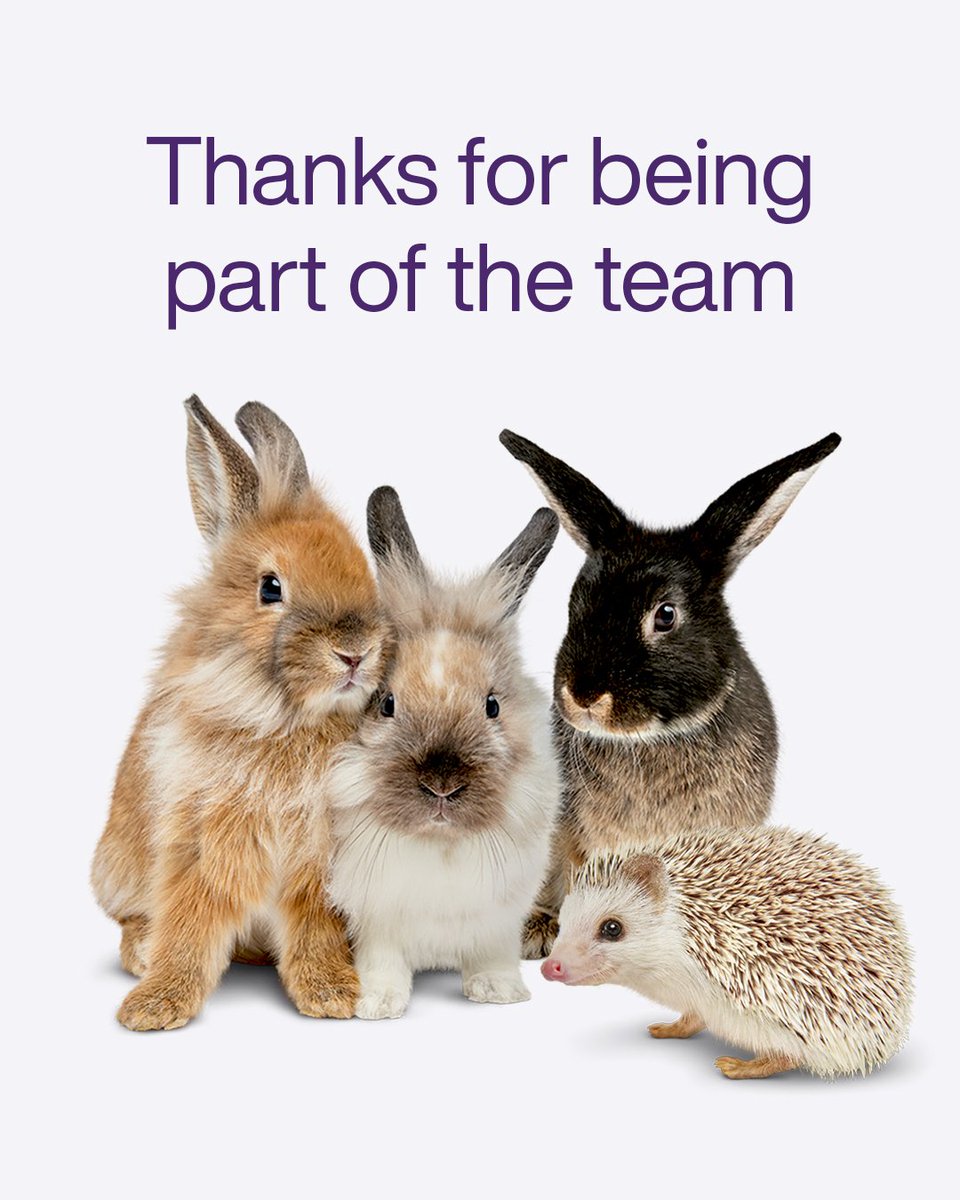 IvanPoltavets's tweet photo. Teamwork has its pros and cons. By working together, we can accomplish massive things that would be impossible alone. Let's embrace the process and maximize the pros of teamwork. I’m very much grateful for my team at TELUS and all the amazing work they... #TeamTELUS https://t.co/UdpcQAl07C