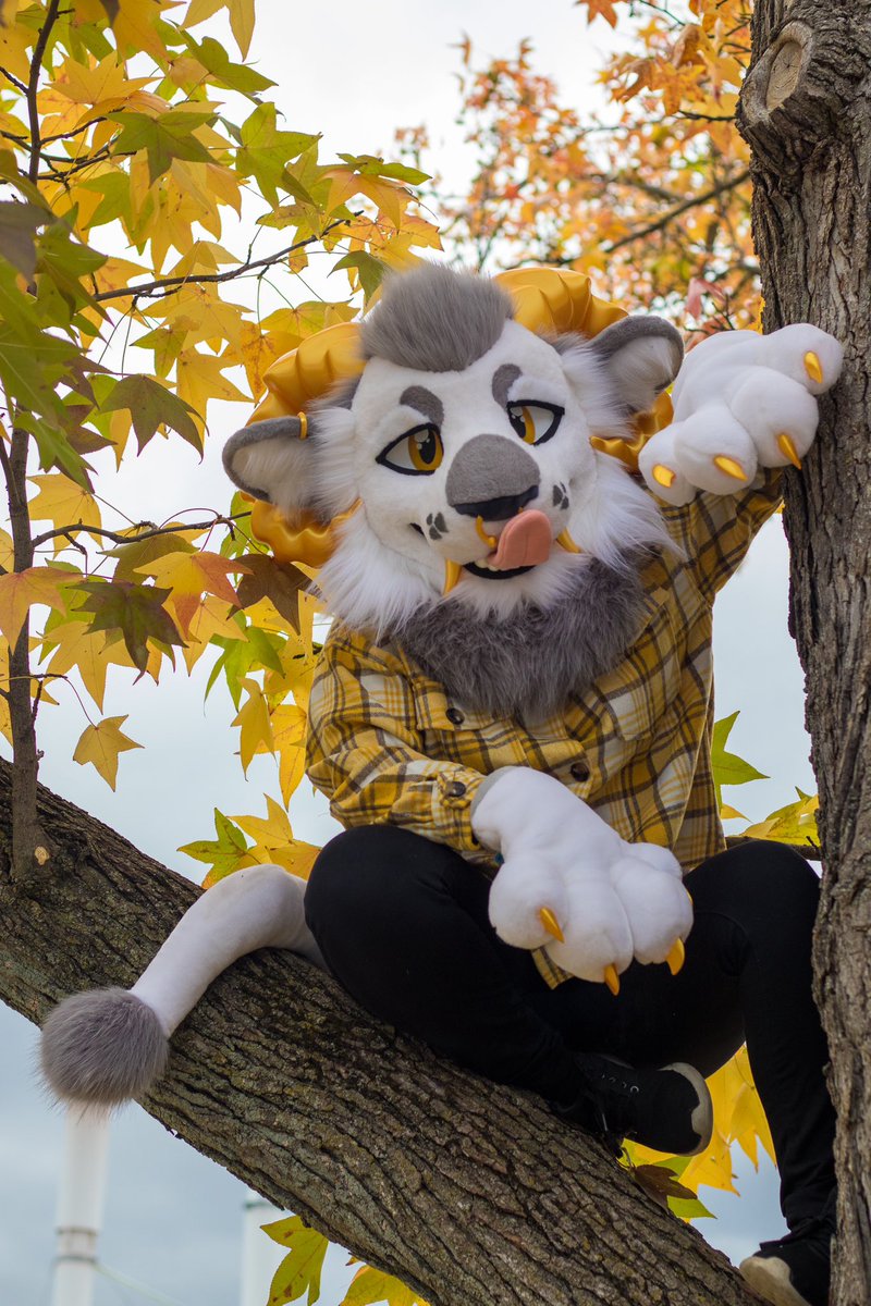 Venus 😈 tweet media