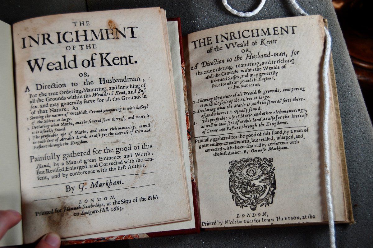 _RHCollection's tweet image. When you&apos;re just really into wealds.