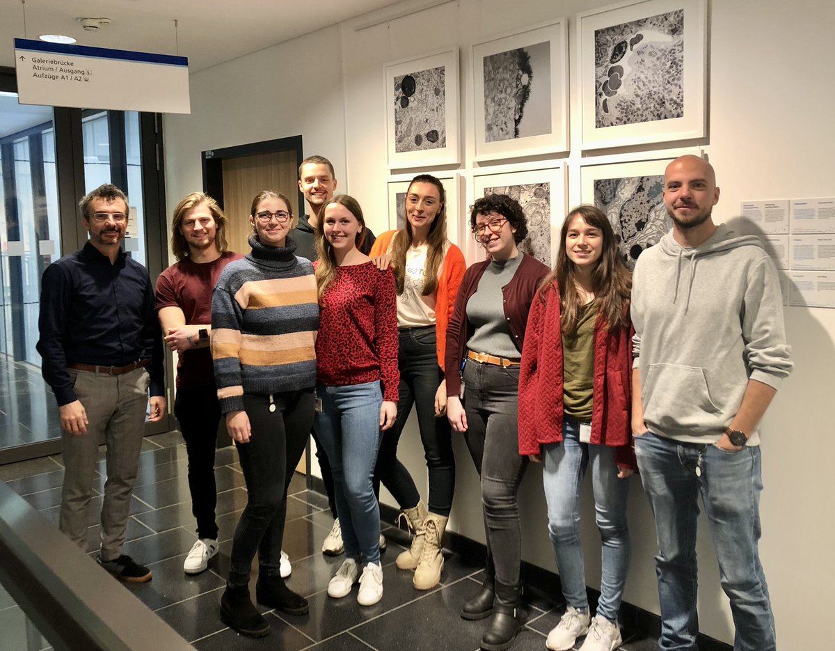 The class of 2020 has just finished their 2nd of three Career Management workshop which are part of the 4-year CGA program. Under the heading of „Networking“ useful approaches and tools have been checked out with their trainer Daniel Mertens. 👩🏽‍🔧🧑🏻‍💻👨🏻‍🏫