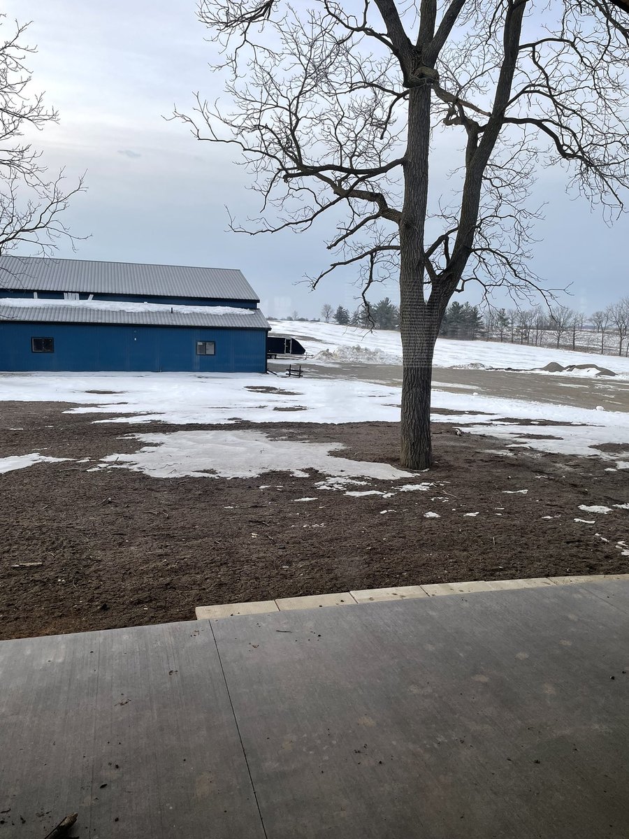 JamiePentland's tweet photo. This is getting ridiculous buses cancelled again clear skies and snow starts at end of school day. https://t.co/TecwjVXXB1