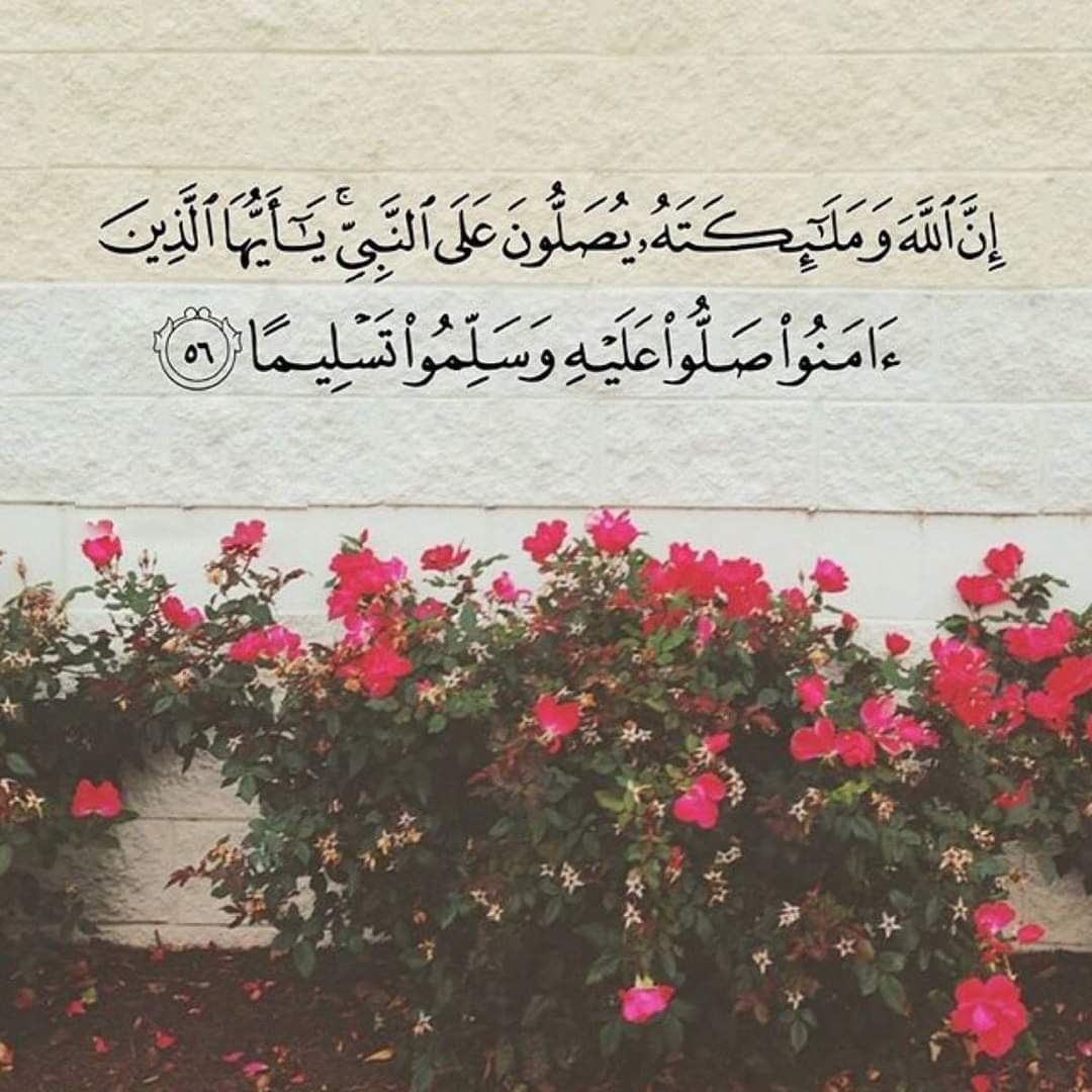 Asmaa Youssef tweet media