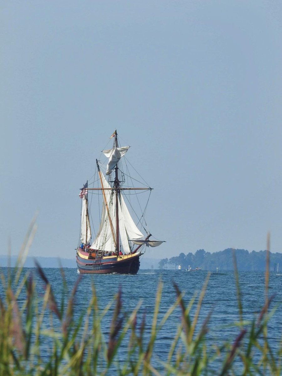 Maryland Dove will be touring the Chesapeake Bay in June 2023 - will the ship be visiting near you? Stay tuned for more info and dates! 

~
~
#MarylandDove #HistoricStMarysCity