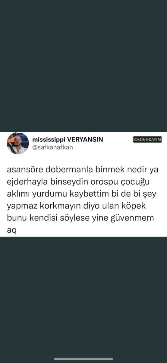 belki olur (@iyiyazan) on Twitter photo 