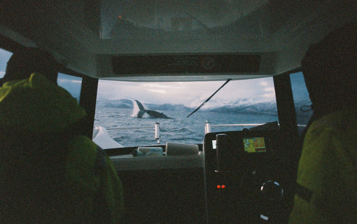 Front row seat with <a href="/WhaleExhale/">Michael Garrett</a> 😍