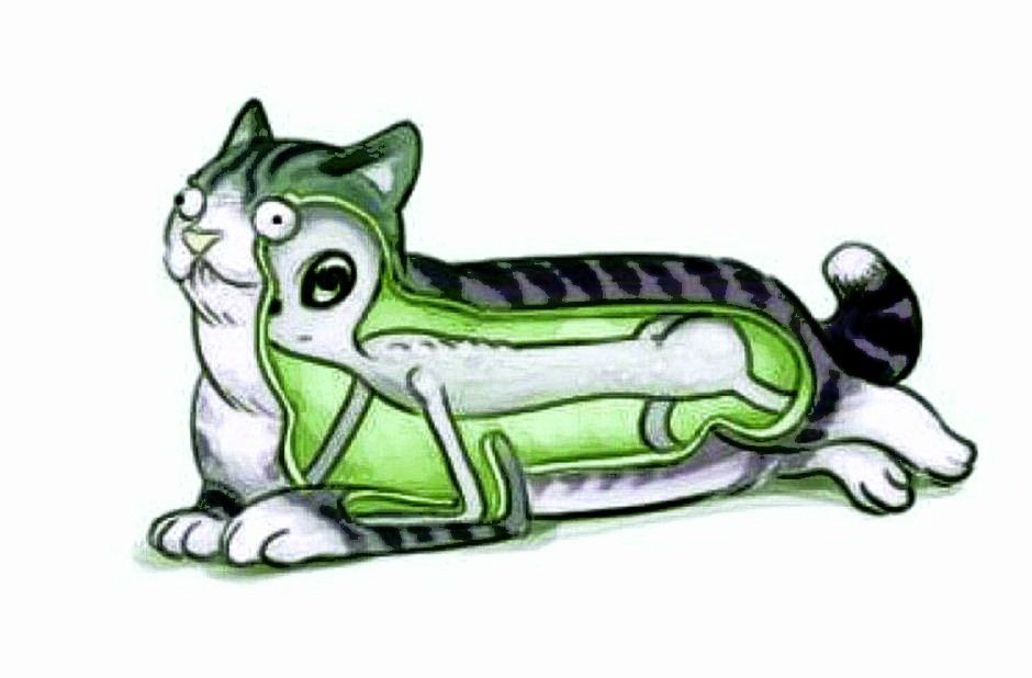 UFOMAXTV's tweet photo. PROBLEM SOLVED!
.
#UFO #OVNI #ALIEN #BREAKINGNEWS #ihatecats #CatsOfTwitter #CatsAreFamily #OMG #WTF https://t.co/oXxDUoqjVb