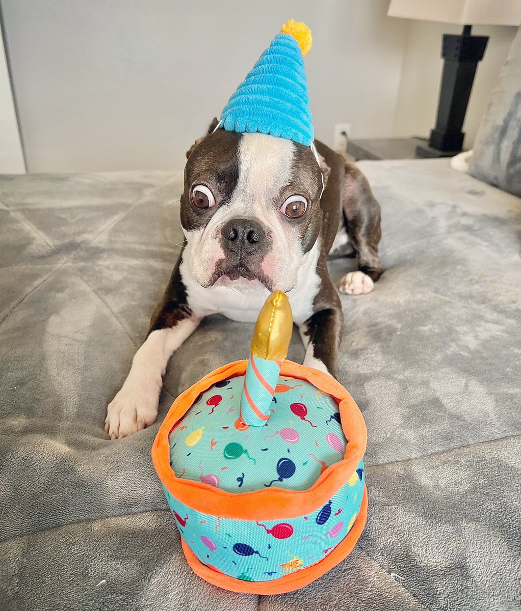 JellyBean & GummyBear tweet media