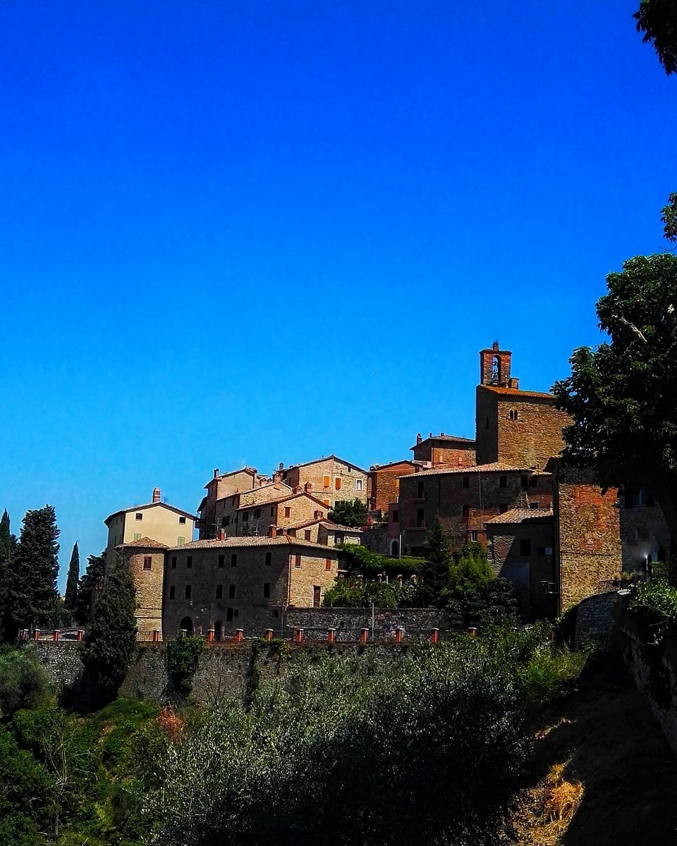 panicaleinfopoint tweet media