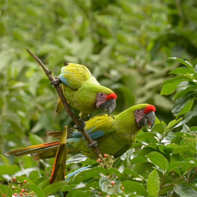 Pouvez-vous imaginer un monde sans nature ? 🐅🌱

En cette #WorldWildlifeDay, notre logo devient noir en solidarité avec la campagne #WorldWithoutNature de <a href="/WWF/">WWF</a>. 

Pour en savoir plus, rendez-vous sur panda.org/worldwithoutna….