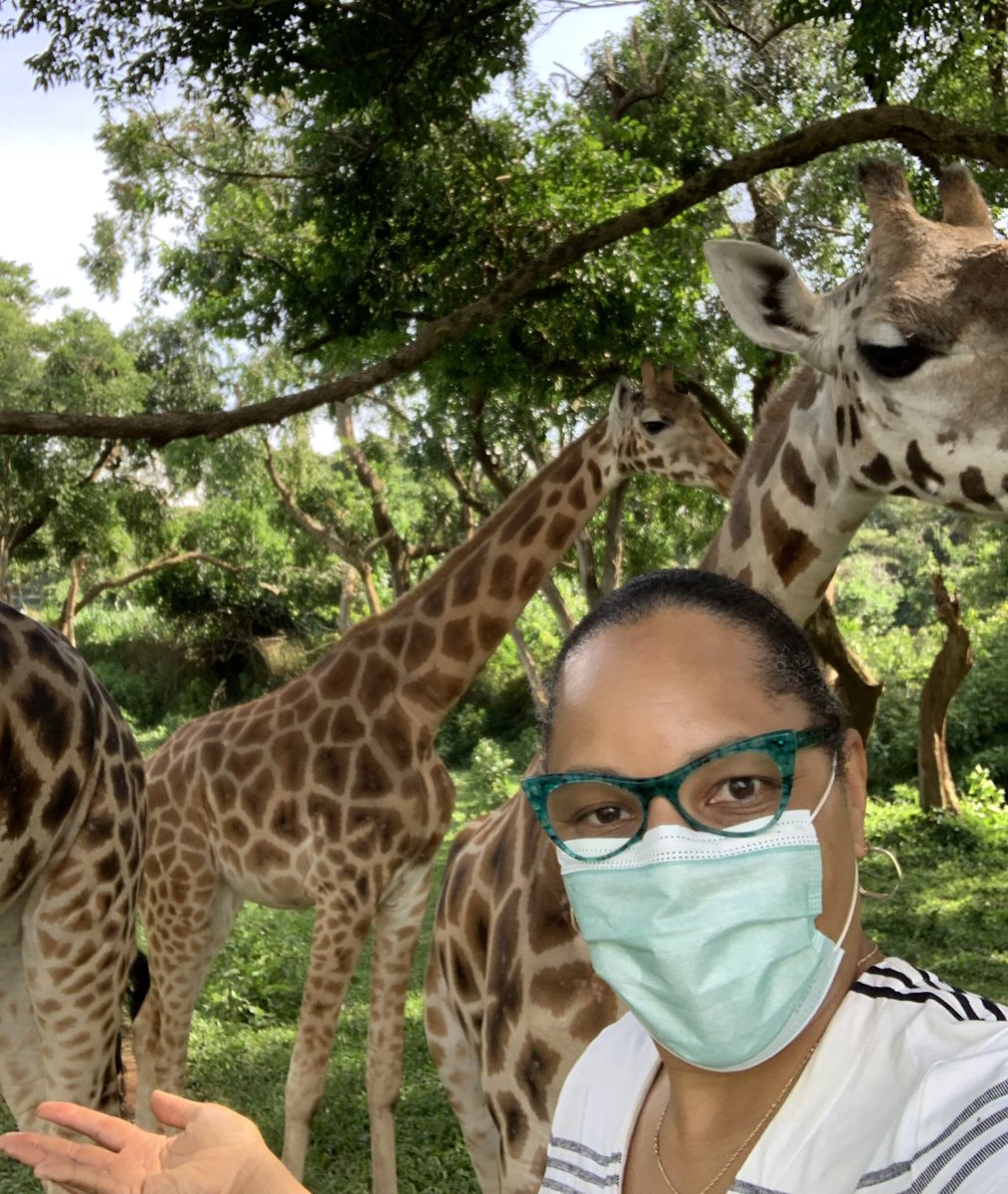 USAmbUganda's tweet photo. If you can, make a plan to explore some of the wildlife found in Uganda. Learn from the experts in the wild or at @UWEC_EntebbeZoo. Learn how you can support conservation & biodiversity. You will be better from the experience. 6/6 #WWD20 https://t.co/1Gb2yBb7Oh