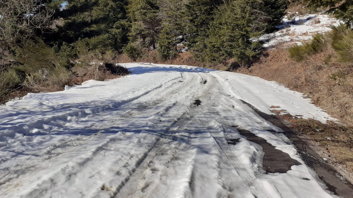 montseny's tweet photo. ❄️⚠️Actualitzem la fitxa dels eixos afectats per la nei i gel. Seguim amb l'accés al turó de l'Home tancat.
🚍Us recordem que podeu accedir al #parcnatural amb el #busparc ℹ️https://t.co/2lONQcwXfv https://t.co/PuDYoRQOEC