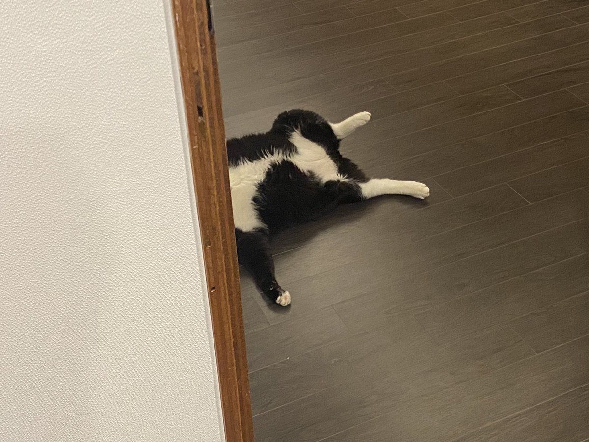 문 밖에.. 누가 쓰러져있어요.