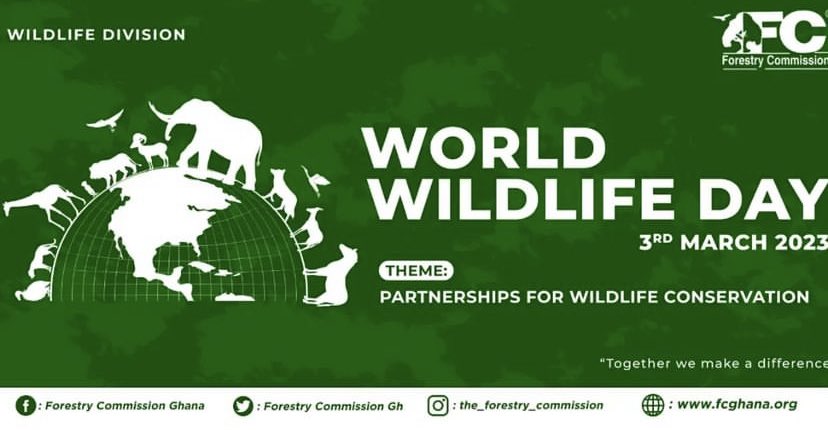Grateful to the universe for the diverse fauna and flora we have been gifted with. 

Happy World Wildlife Day! 

#PartnershipsforConservation #partnershipsforwildlifeconservation 
#nature #wildearth #wildlife #