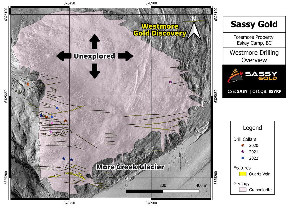 SASSY DISCOVERS NEW HIGH-GRADE GOLD VEIN AT WESTMORE

sassygold.com/PressReleases/…

CSE: $SASY | OTCQB: $SSYRF | SassyGold.com

#EskayCamp #GoldenTriangle #Gold