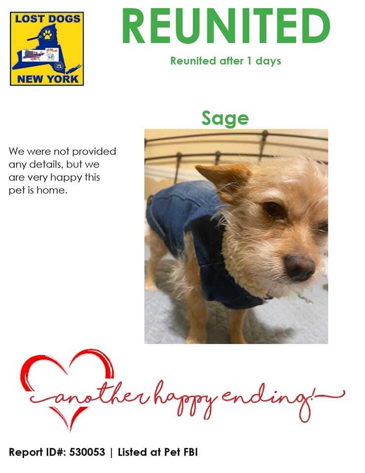 #Sage is #reunited 

Location: .#Astoria, #QueensCounty