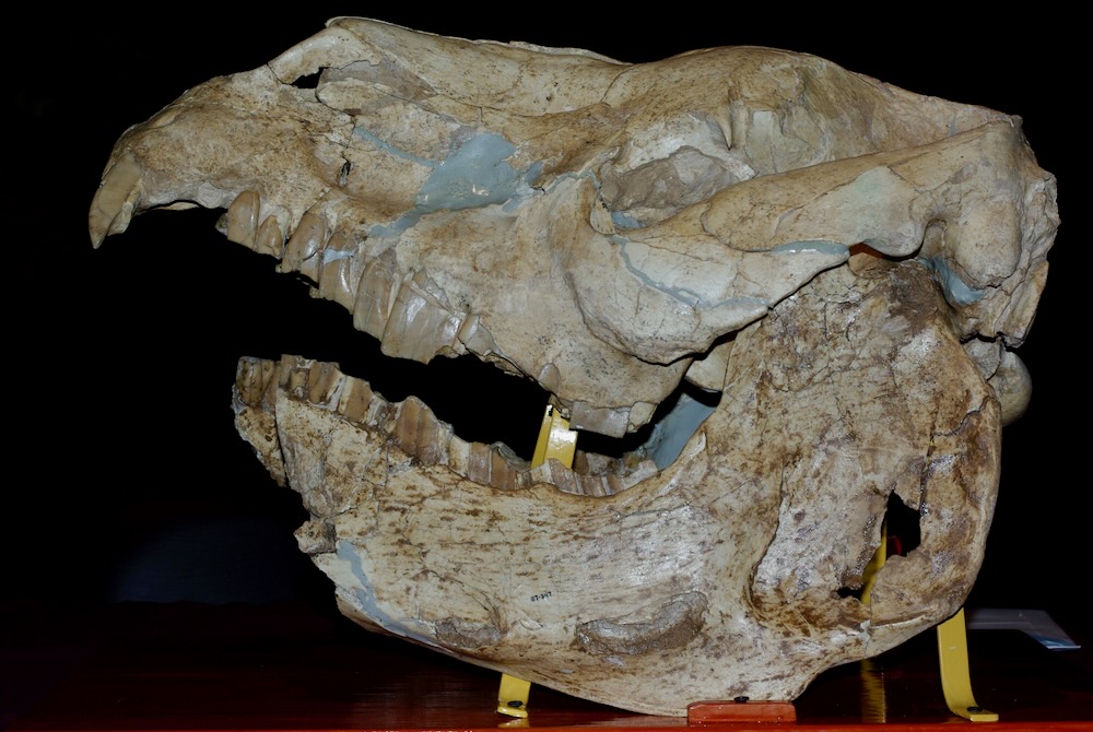 Darin Croft tweet media