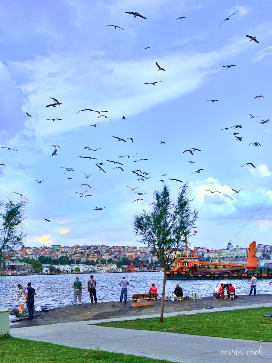 #istanbul #goldenhorn #BestPlaces #City #MyPhoto #streetphotography #PhotographyIsArt #urbanphotography #Sokak #Şehir #İnsan