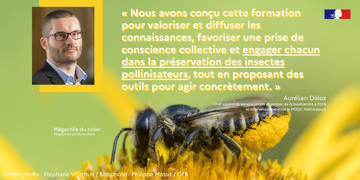 🦋 Pourquoi s'inscrire au MOOC Pollinisateurs ?

🐝 Le MOOC Pollinisateurs débutera le 20 mars 2023. <a href="/AurelienDaloz/">Aurélien Daloz</a> revient sur l'importance de ce programme de formation en ligne gratuit et ouvert à tous

👉 Son interview complète : ofb.gouv.fr/actualites/pou…

#NosPollinisateurs