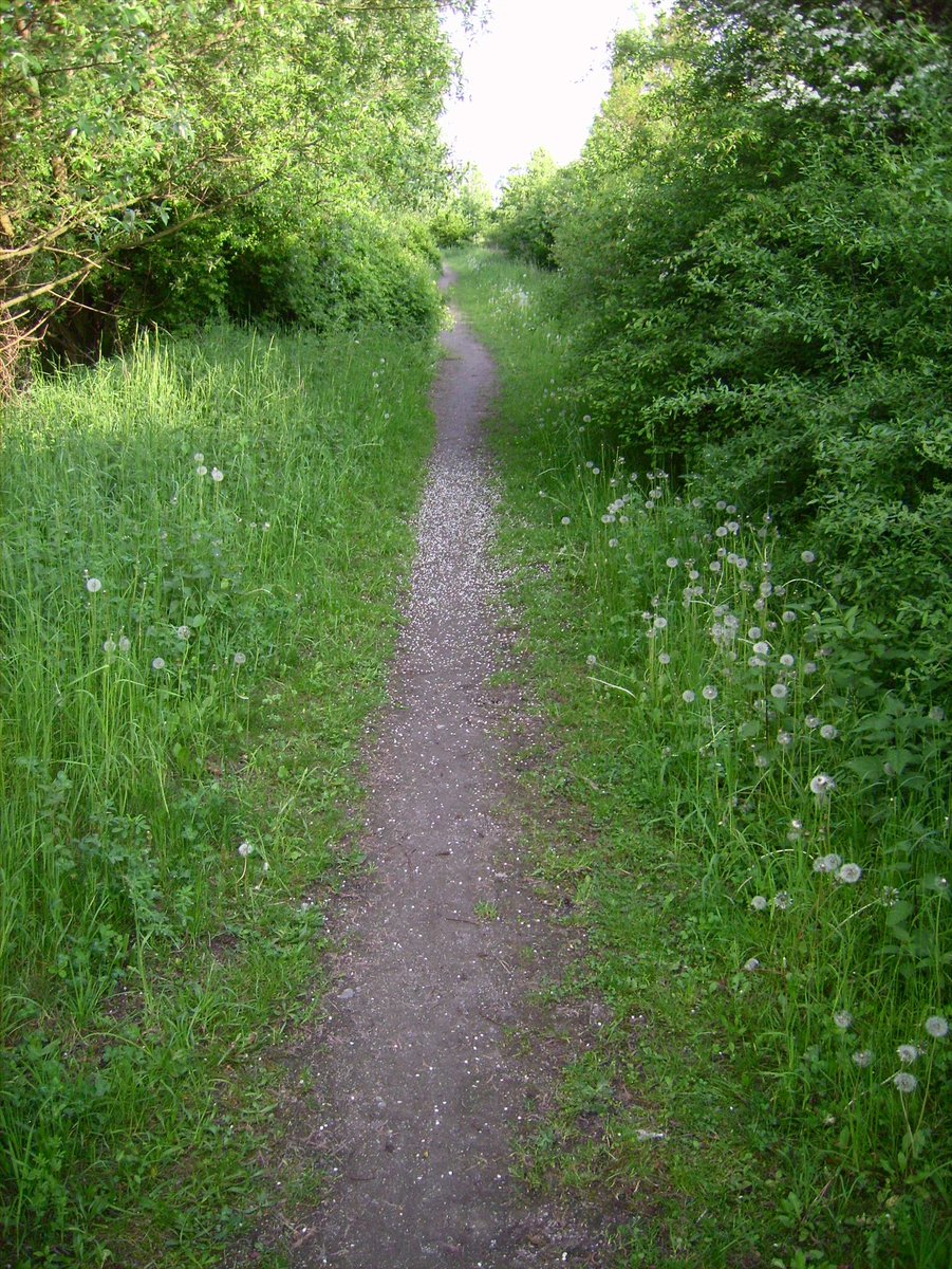 elhotzo's tweet image. Deutsche Autobahnen, wenn man sich um sich kümmern würde wie um das Schienennetz