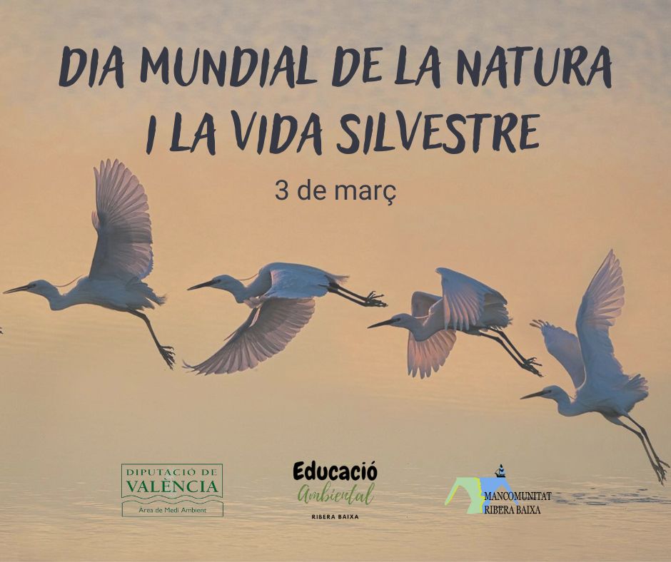 🌱 🐾 𝟯 𝗱𝗲 𝗺𝗮𝗿ç, 𝗗𝗶𝗮 𝗠𝘂𝗻𝗱𝗶𝗮𝗹 𝗱𝗲 𝗹𝗮 #Natura 𝗶 𝗹𝗮 #VidaSilvestre 🐾 🌱